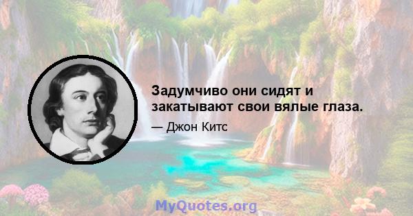 Задумчиво они сидят и закатывают свои вялые глаза.