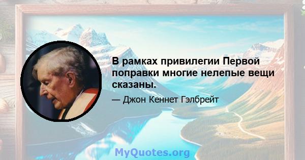 В рамках привилегии Первой поправки многие нелепые вещи сказаны.