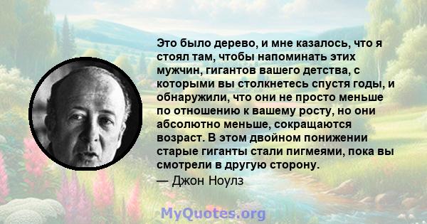 Это было дерево, и мне казалось, что я стоял там, чтобы напоминать этих мужчин, гигантов вашего детства, с которыми вы столкнетесь спустя годы, и обнаружили, что они не просто меньше по отношению к вашему росту, но они