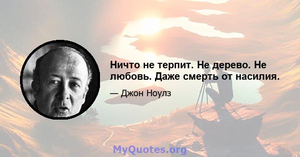 Ничто не терпит. Не дерево. Не любовь. Даже смерть от насилия.