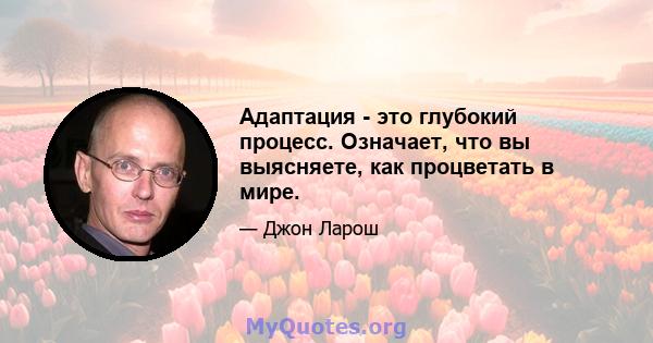 Адаптация - это глубокий процесс. Означает, что вы выясняете, как процветать в мире.