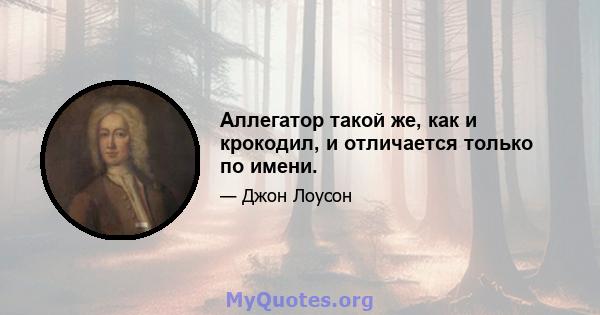 Аллегатор такой же, как и крокодил, и отличается только по имени.