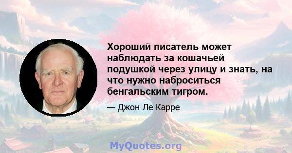 Хороший писатель может наблюдать за кошачьей подушкой через улицу и знать, на что нужно наброситься бенгальским тигром.