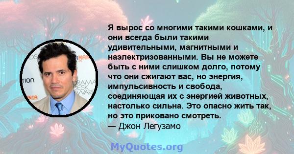 Я вырос со многими такими кошками, и они всегда были такими удивительными, магнитными и наэлектризованными. Вы не можете быть с ними слишком долго, потому что они сжигают вас, но энергия, импульсивность и свобода,