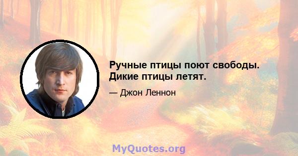 Ручные птицы поют свободы. Дикие птицы летят.