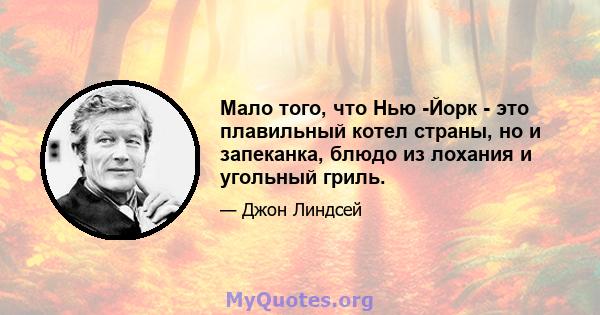 Мало того, что Нью -Йорк - это плавильный котел страны, но и запеканка, блюдо из лохания и угольный гриль.