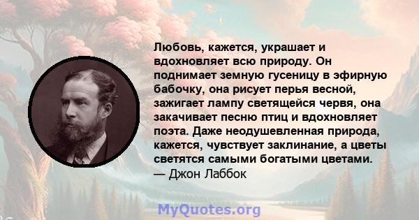 Любовь, кажется, украшает и вдохновляет всю природу. Он поднимает земную гусеницу в эфирную бабочку, она рисует перья весной, зажигает лампу светящейся червя, она закачивает песню птиц и вдохновляет поэта. Даже