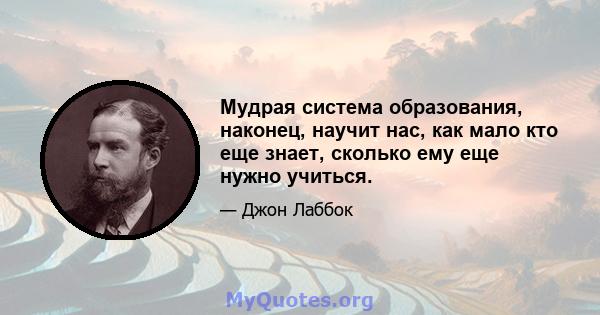 Мудрая система образования, наконец, научит нас, как мало кто еще знает, сколько ему еще нужно учиться.