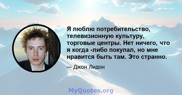 Я люблю потребительство, телевизионную культуру, торговые центры. Нет ничего, что я когда -либо покупал, но мне нравится быть там. Это странно.