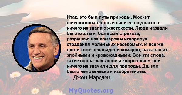 Итак, это был путь природы. Москит почувствовал боль и панику, но дракона ничего не знала о жестокости. Люди назвали бы это злым, большая стрекоза, разрушающая комаров и игнорируя страдания маленьких насекомых. И все же 