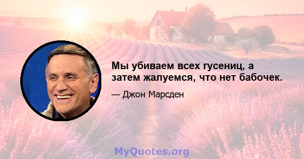 Мы убиваем всех гусениц, а затем жалуемся, что нет бабочек.