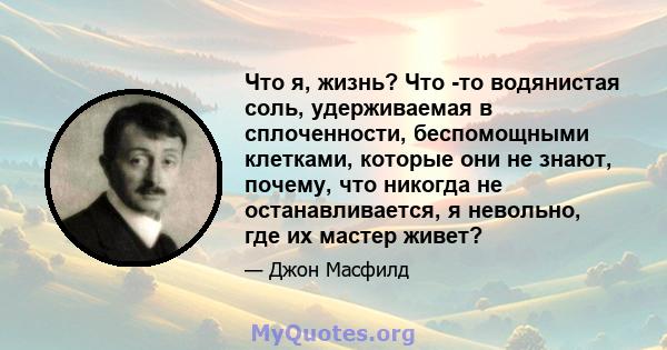 Что я, жизнь? Что -то водянистая соль, удерживаемая в сплоченности, беспомощными клетками, которые они не знают, почему, что никогда не останавливается, я невольно, где их мастер живет?