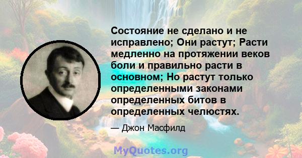 Состояние не сделано и не исправлено; Они растут; Расти медленно на протяжении веков боли и правильно расти в основном; Но растут только определенными законами определенных битов в определенных челюстях.