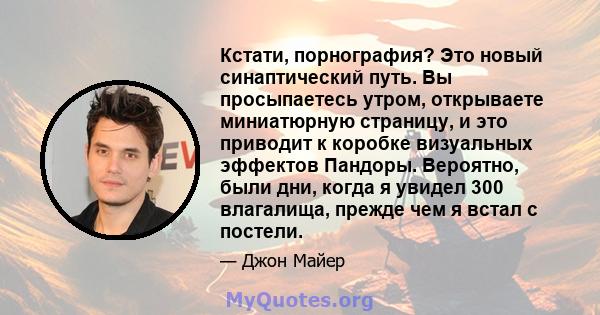 Кстати, порнография? Это новый синаптический путь. Вы просыпаетесь утром, открываете миниатюрную страницу, и это приводит к коробке визуальных эффектов Пандоры. Вероятно, были дни, когда я увидел 300 влагалища, прежде