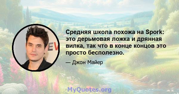 Средняя школа похожа на Spork: это дерьмовая ложка и дрянная вилка, так что в конце концов это просто бесполезно.