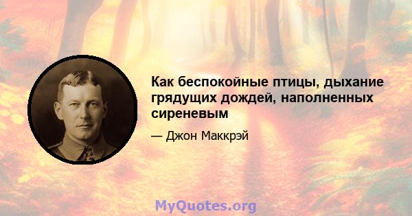 Как беспокойные птицы, дыхание грядущих дождей, наполненных сиреневым