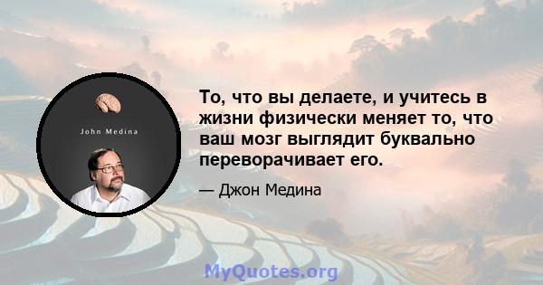 То, что вы делаете, и учитесь в жизни физически меняет то, что ваш мозг выглядит буквально переворачивает его.