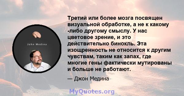 Третий или более мозга посвящен визуальной обработке, а не к какому -либо другому смыслу. У нас цветовое зрение, и это действительно бинокль. Эта изощренность не относится к другим чувствам, таким как запах, где многие