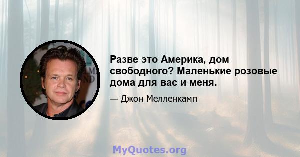 Разве это Америка, дом свободного? Маленькие розовые дома для вас и меня.