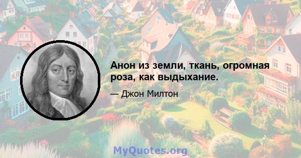 Анон из земли, ткань, огромная роза, как выдыхание.