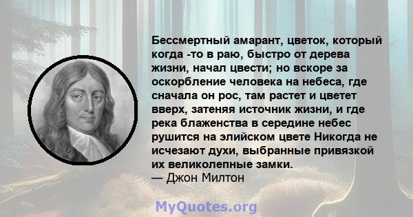 Бессмертный амарант, цветок, который когда -то в раю, быстро от дерева жизни, начал цвести; но вскоре за оскорбление человека на небеса, где сначала он рос, там растет и цветет вверх, затеняя источник жизни, и где река