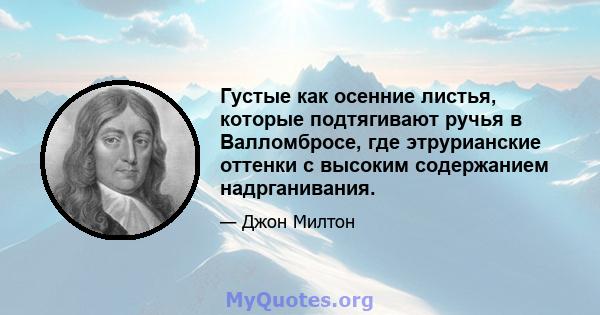 Густые как осенние листья, которые подтягивают ручья в Валломбросе, где этрурианские оттенки с высоким содержанием надрганивания.