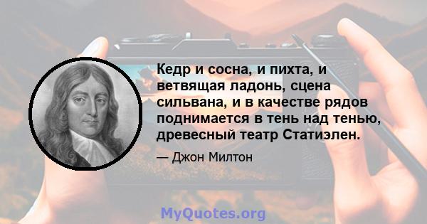 Кедр и сосна, и пихта, и ветвящая ладонь, сцена сильвана, и в качестве рядов поднимается в тень над тенью, древесный театр Статиэлен.