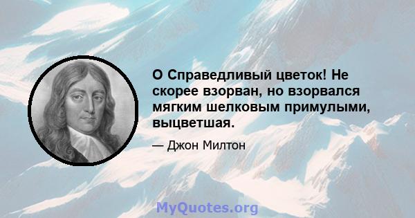 O Справедливый цветок! Не скорее взорван, но взорвался мягким шелковым примулыми, выцветшая.