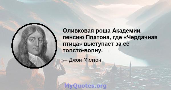 Оливковая роща Академии, пенсию Платона, где «Чердачная птица» выступает за ее толсто-волну.