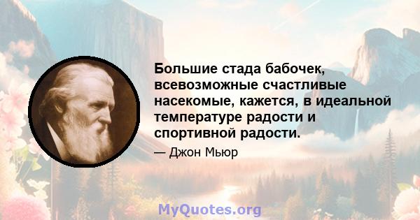 Большие стада бабочек, всевозможные счастливые насекомые, кажется, в идеальной температуре радости и спортивной радости.