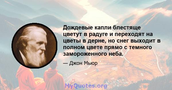 Дождевые капли блестяще цветут в радуге и переходят на цветы в дерне, но снег выходит в полном цвете прямо с темного замороженного неба.