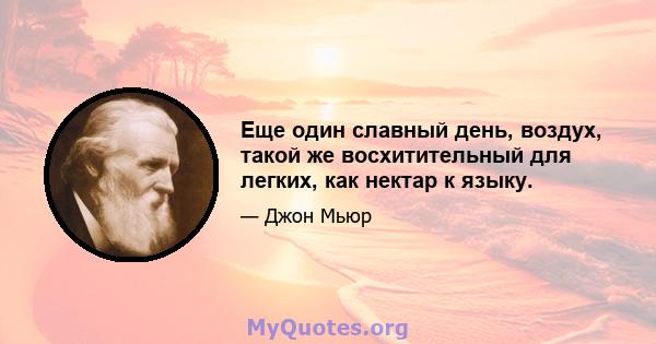 Еще один славный день, воздух, такой же восхитительный для легких, как нектар к языку.