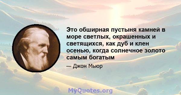 Это обширная пустыня камней в море светлых, окрашенных и светящихся, как дуб и клен осенью, когда солнечное золото самым богатым