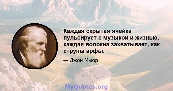 Каждая скрытая ячейка пульсирует с музыкой и жизнью, каждая волокна захватывает, как струны арфы.