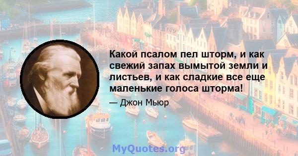 Какой псалом пел шторм, и как свежий запах вымытой земли и листьев, и как сладкие все еще маленькие голоса шторма!