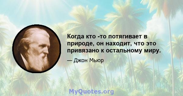 Когда кто -то потягивает в природе, он находит, что это привязано к остальному миру.