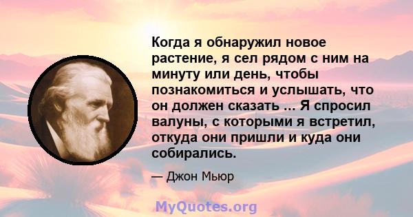 Когда я обнаружил новое растение, я сел рядом с ним на минуту или день, чтобы познакомиться и услышать, что он должен сказать ... Я спросил валуны, с которыми я встретил, откуда они пришли и куда они собирались.