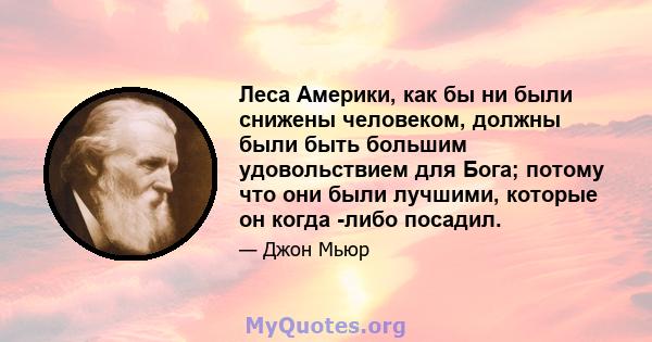 Леса Америки, как бы ни были снижены человеком, должны были быть большим удовольствием для Бога; потому что они были лучшими, которые он когда -либо посадил.