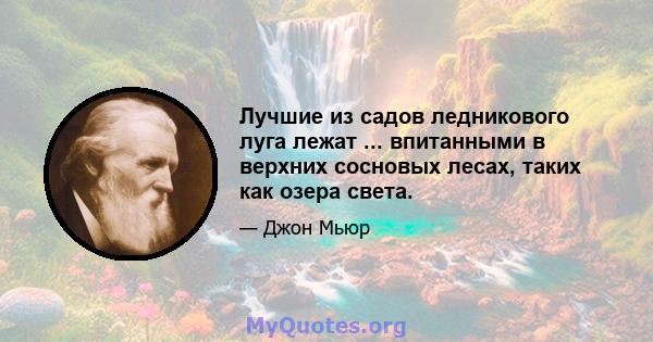 Лучшие из садов ледникового луга лежат ... впитанными в верхних сосновых лесах, таких как озера света.