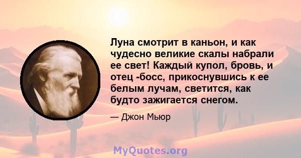 Луна смотрит в каньон, и как чудесно великие скалы набрали ее свет! Каждый купол, бровь, и отец -босс, прикоснувшись к ее белым лучам, светится, как будто зажигается снегом.