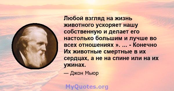 Любой взгляд на жизнь животного ускоряет нашу собственную и делает его настолько большим и лучше во всех отношениях ». ... - Конечно Их животные смертные в их сердцах, а не на спине или на их ужинах.