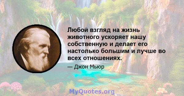 Любой взгляд на жизнь животного ускоряет нашу собственную и делает его настолько большим и лучше во всех отношениях.