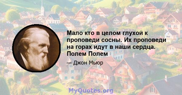 Мало кто в целом глухой к проповеди сосны. Их проповеди на горах идут в наши сердца. Полем Полем