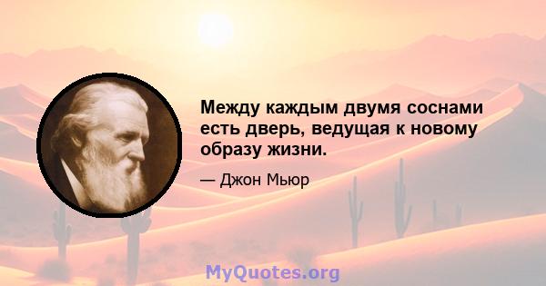 Между каждым двумя соснами есть дверь, ведущая к новому образу жизни.