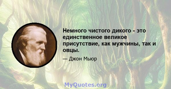 Немного чистого дикого - это единственное великое присутствие, как мужчины, так и овцы.