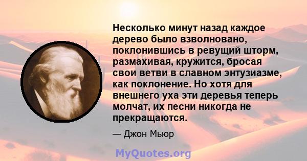 Несколько минут назад каждое дерево было взволновано, поклонившись в ревущий шторм, размахивая, кружится, бросая свои ветви в славном энтузиазме, как поклонение. Но хотя для внешнего уха эти деревья теперь молчат, их