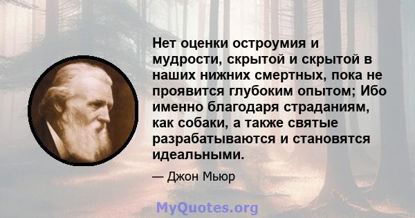 Нет оценки остроумия и мудрости, скрытой и скрытой в наших нижних смертных, пока не проявится глубоким опытом; Ибо именно благодаря страданиям, как собаки, а также святые разрабатываются и становятся идеальными.