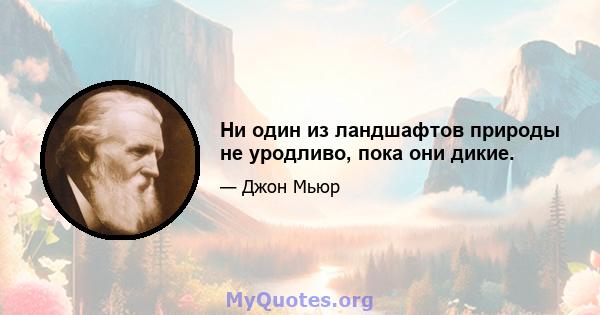 Ни один из ландшафтов природы не уродливо, пока они дикие.