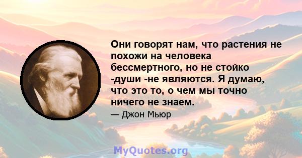 Они говорят нам, что растения не похожи на человека бессмертного, но не стойко -души -не являются. Я думаю, что это то, о чем мы точно ничего не знаем.