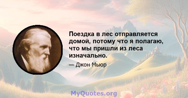 Поездка в лес отправляется домой, потому что я полагаю, что мы пришли из леса изначально.